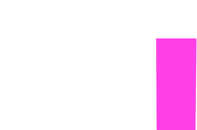 Model Documentation